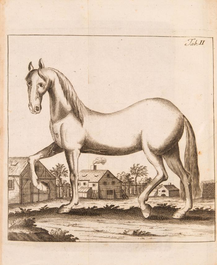J. M. Eberlein, Der vollkommene Pferde-Kenner. 2 Tle. in 1 Bd. Uffenheim 1764. - Dazu: H. W. von Gerstenberg, Handbuch für einen Reuter. Altona 1763.