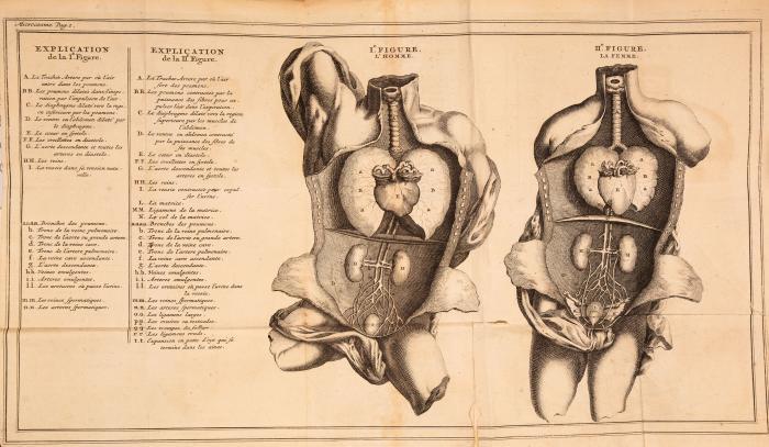 Nouveau systeme du Mircocosme, ou traité de la nature de l'homme: Dans lequel on explique la cause du mouvement des fluides; le principe de la vie, du sang & des humeurs; la generation, & les autres operations des parties du corps humain.