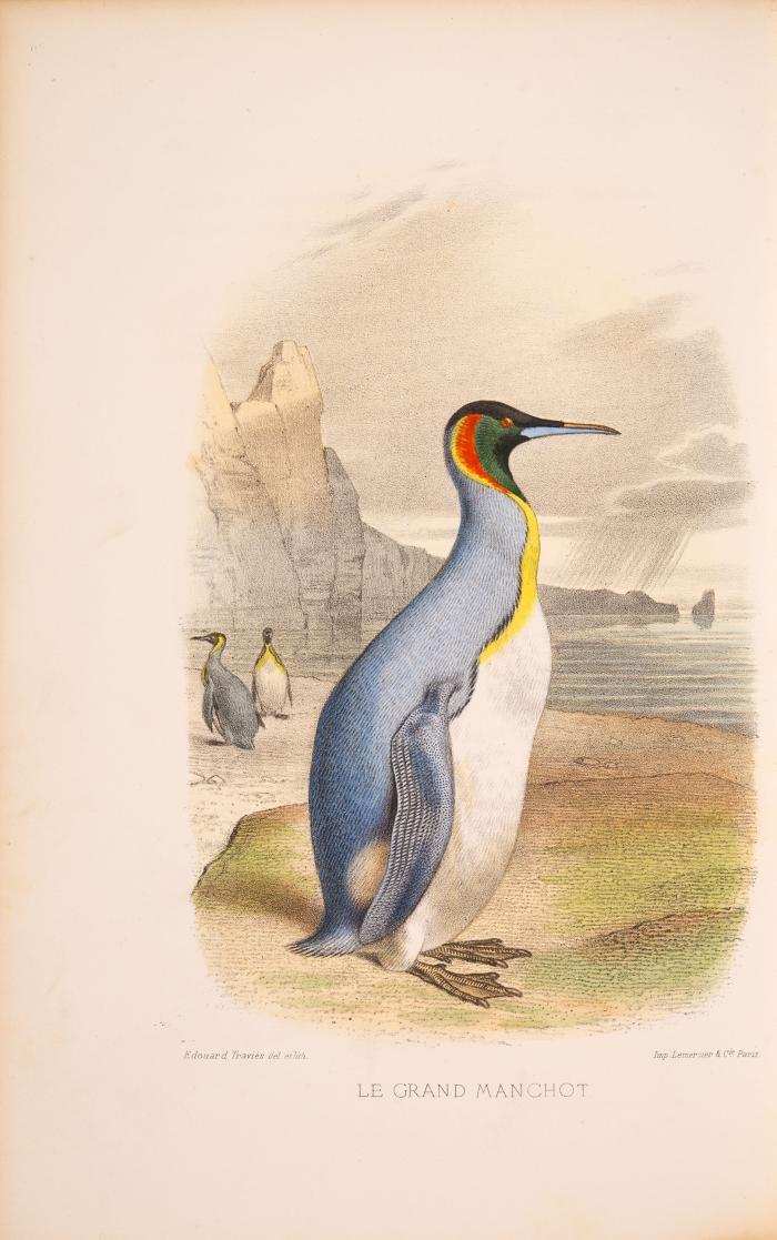 Lettres à Julie sur l'ornithologie.