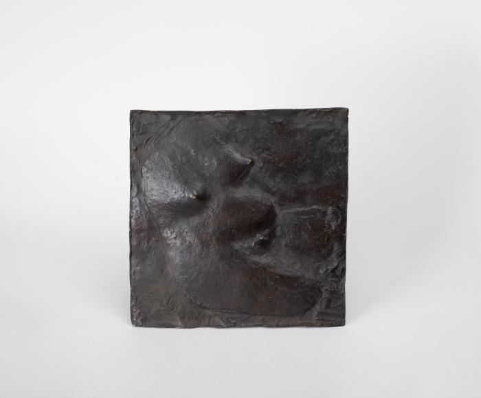 Weiblicher Torso