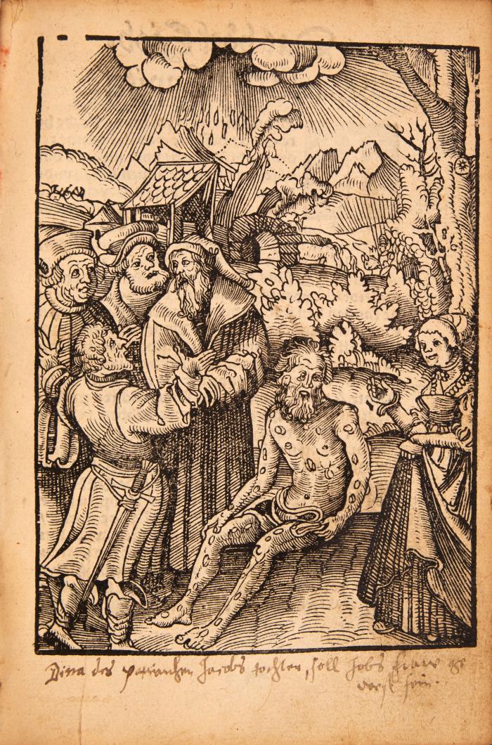 De Propheten alle Düdesch (und) Dat drüdde deel des Olden Testamentes. 2 Tle. in 1 Bd.