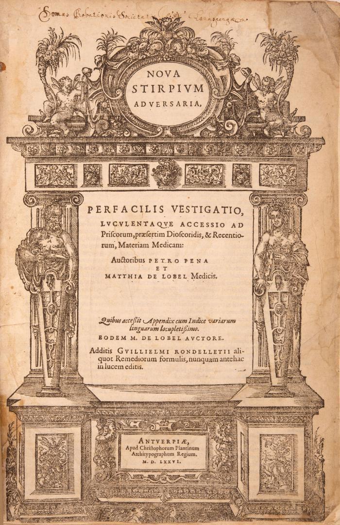L'Obel, Matthias de und Pierre Pena: Nova stirpium adversaria. - Daran: L'Obel, Matthias de: Plantarum seu stirpium historia. Cui annexum est adversariorum volumen. 2 Teile in 1 Band.