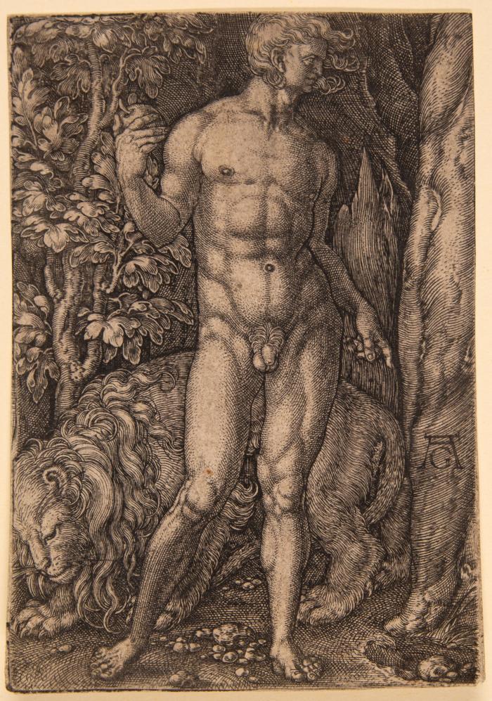 Adam mit einem Löwen