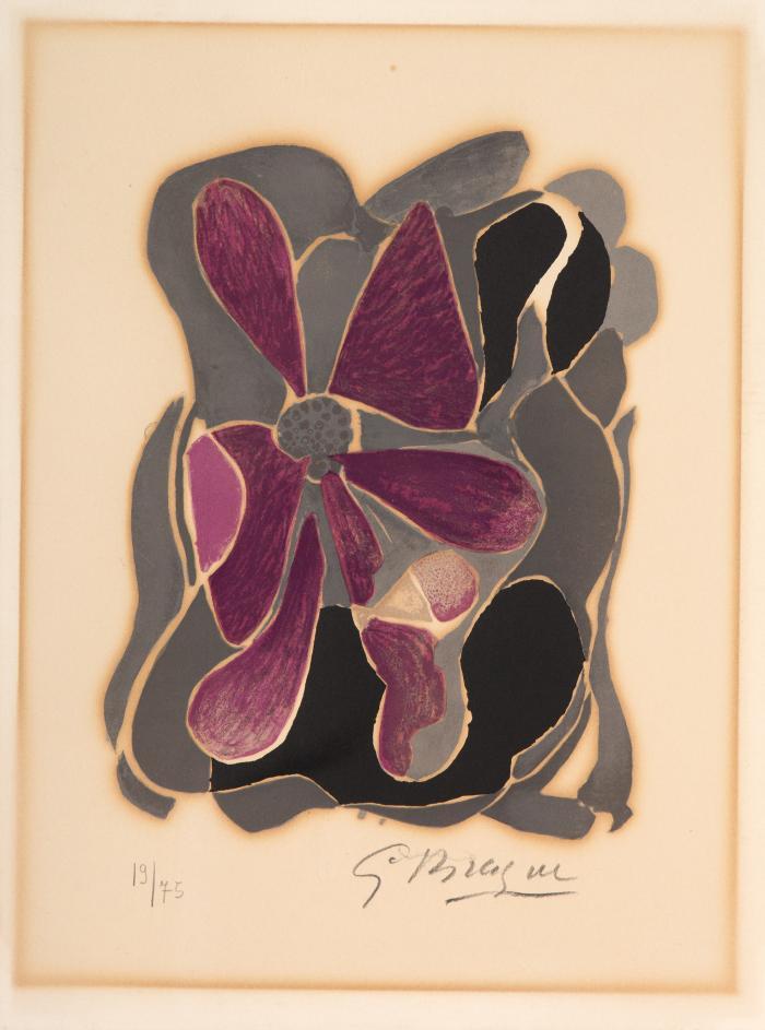 L'Iris (Aus: Lettera Amorosa)