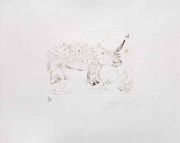 Rhinocéros (aus: Quinze gravures)