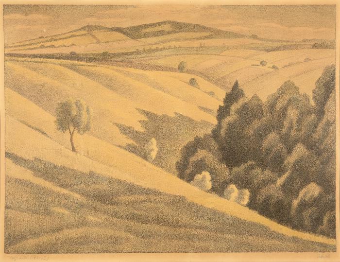 Weite Landschaft bei Calemberg / Weite Landschaft mit Blick auf Warburg in Westfalen
