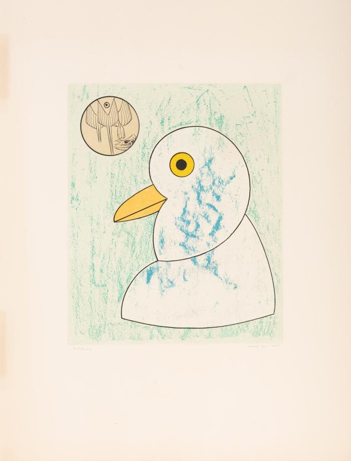 Nous sommes la somme de nos envergures (aus: Oiseaux en péril)