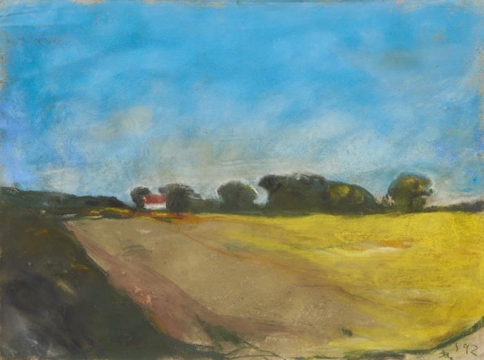 Ohne Titel (Rapsfeld)