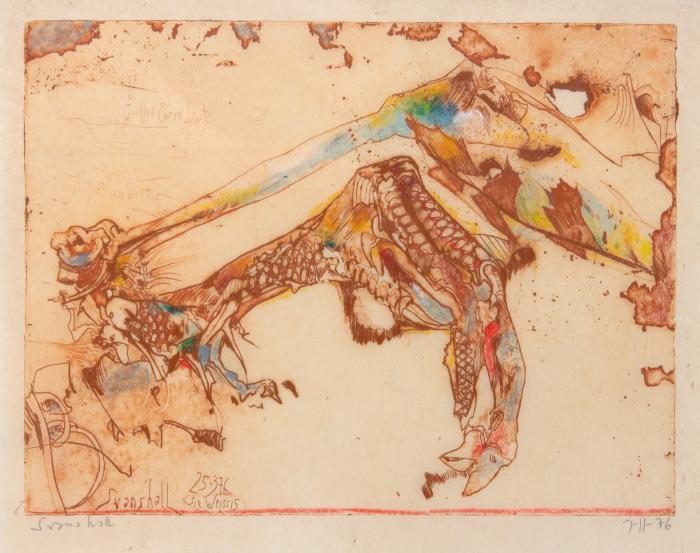 Aus: Svanshall