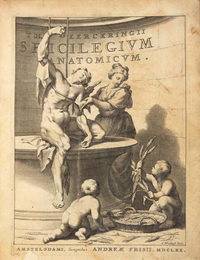 Spicilegium anatomicum, continens observationum anatomicarum rariorum centuriam unam: nec non osteogeniam foetuum. / Anthropogeniae Ichnographia. 3 Tle. in 1 Bd.
