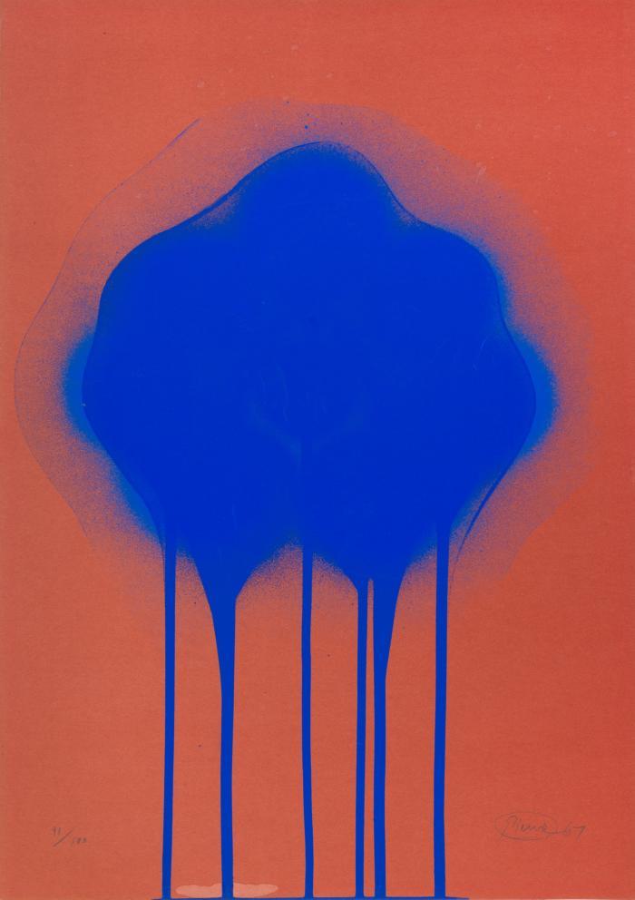 Blaue Feuerblume