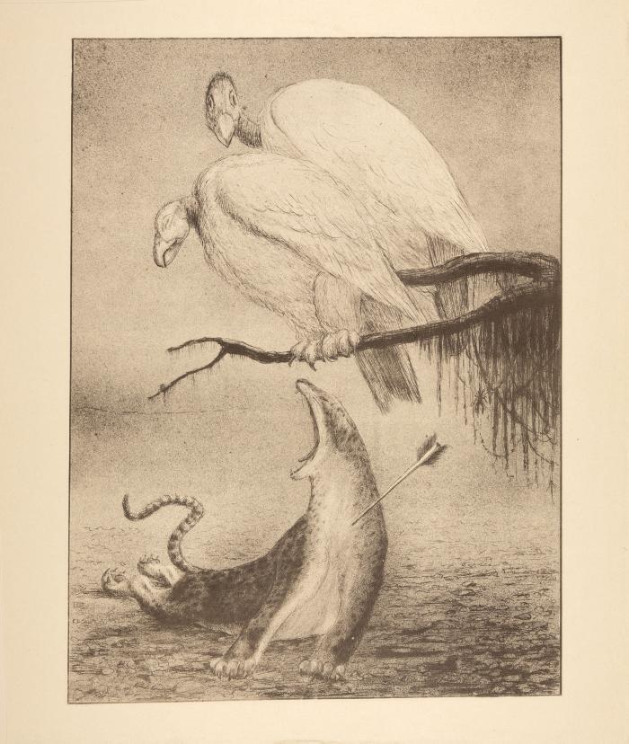 ALFRED KUBIN
Facsimiledrucke nach Kunstblättern.