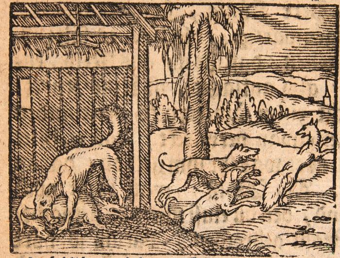 Reineke Fuchs. - Der listige Reineke Fuchs. Das ist: Ein sehr Nutzliches Lust- und Sinn- reiches Büchlein [...].