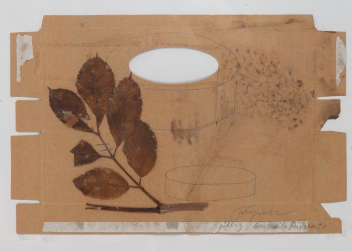 Sammlung Collagen: Gültig bis siehe Rückseite / Penck-Männchen 1986 / Düsseldorfer Kunsthalle 1998 / Andruck 1982