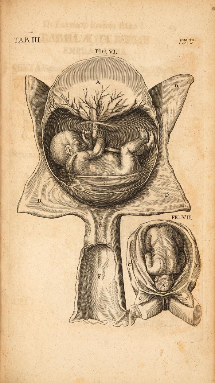 Opera omnia anatomica & physiologica, hactenus variis locis ac formis edita; nunc vero certo ordine digesta, & in unum volumen redacta.