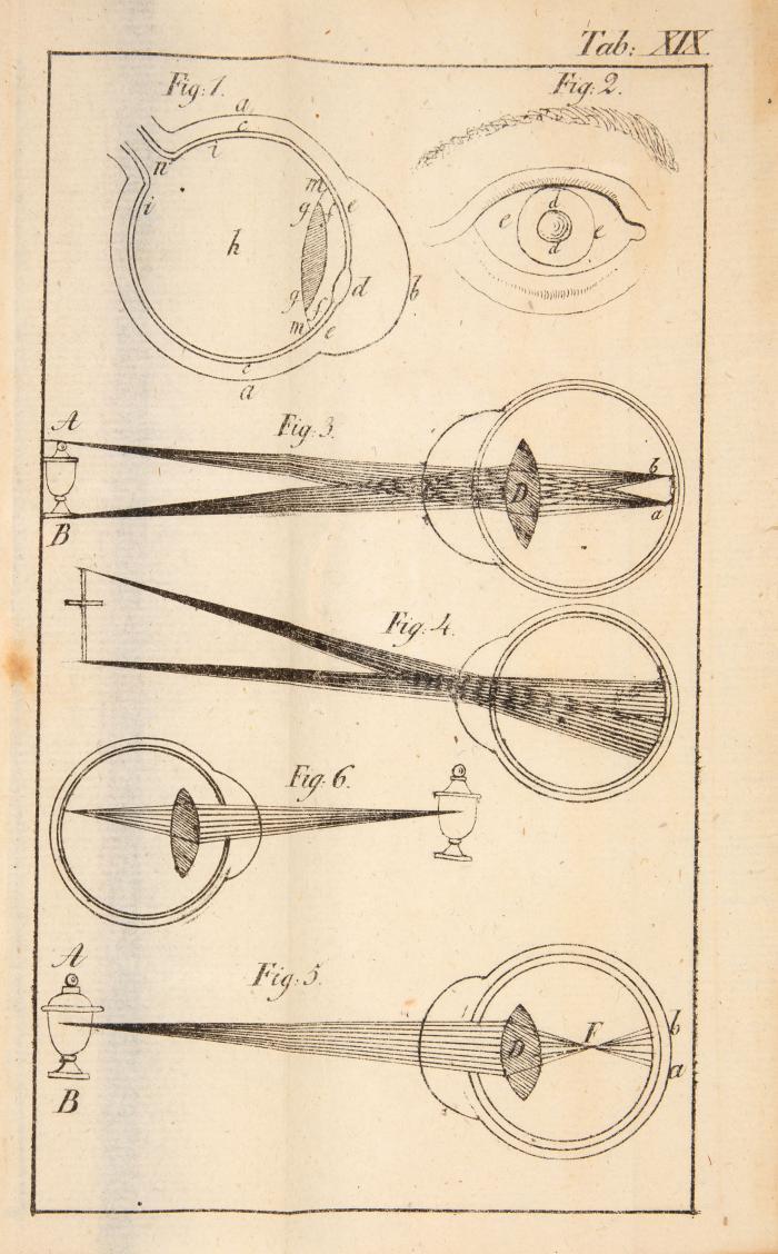 Focke, Christian: Lehrbuch der Physik, einfach und zum Selbstunterricht für Lehrer und Lernende abgefaßt.
