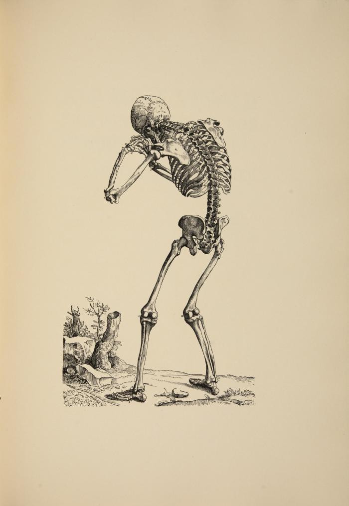 BREMER PRESSE
ANDREAS VESALIUS: Icones anatomicae. Ediderunt Academia Medicinae Nova-Eboracensis et Bibliotheca Universitatis Monacensis. Editio proprie Europaea.