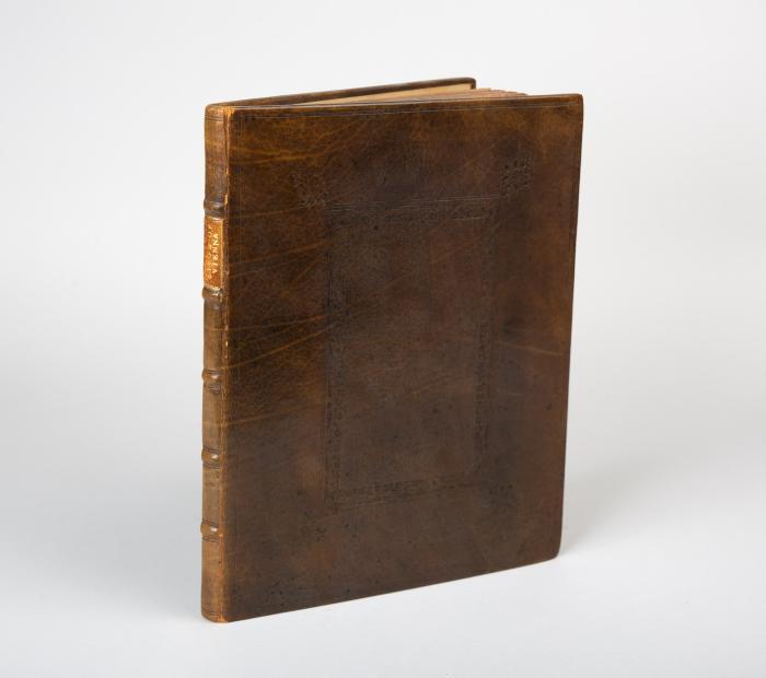 A relation or diary of the siege of Vienna.