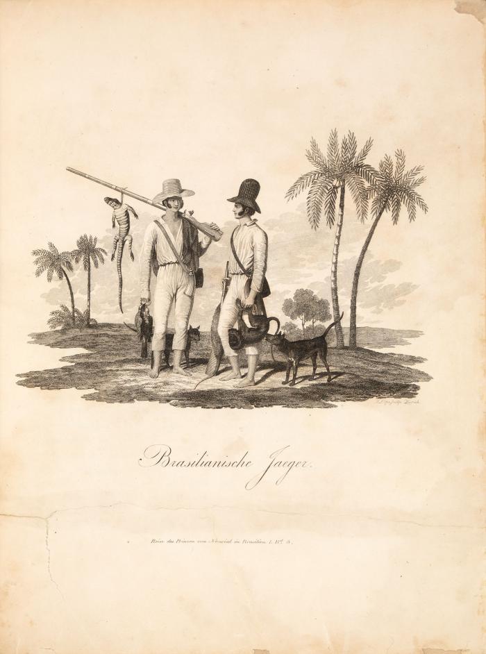 Reise nach Brasilien in den Jahren 1815 bis 1817. 2 Bde. (nur Textbände, ohne Tafelband!).