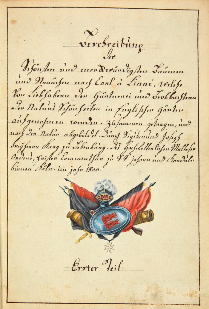Beschreibung der schönsten und merckwürdigsten Bäumen und Sträuchen nach Carl à Linné, welche von Liebhabern der Gärtnerei und Beobachtern der Naturs Schönheiten in Englischen Gärten aufgenohmen worden. Botanisches Manuskript mit 68 kolorierten Pflanzenzeichnungen.