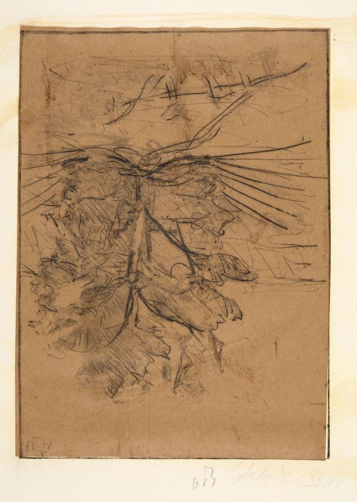 Ohne Titel (Blatt 1 der Mappe Bäume)