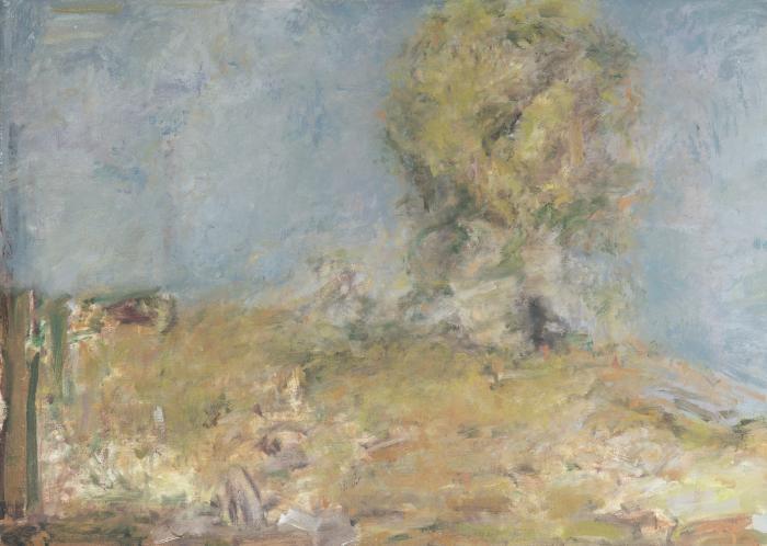 Nussbaum