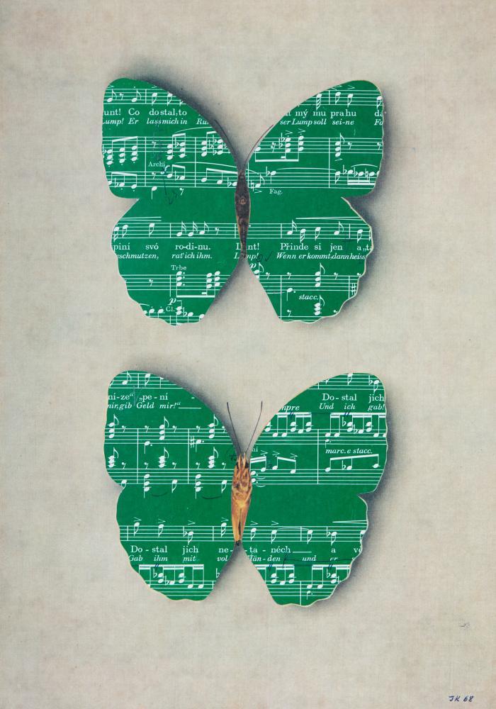 Le marche des oiseaux / Ohne Titel (Papillons)