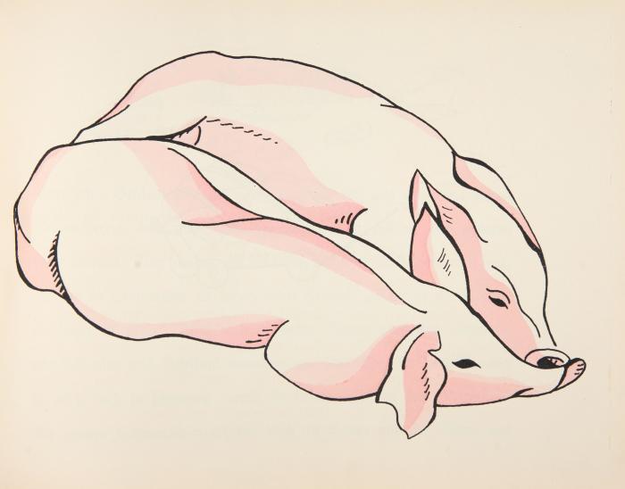 Das Schweinebuch. Ein Schweinemärchen von der Geburt bis zur Wurst.