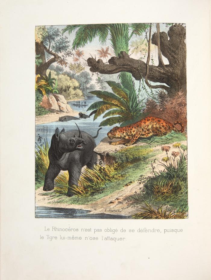 Les petits enfants chez les gros animaux. Promenades au jardin des plantes et au jardin d'accclimatation.