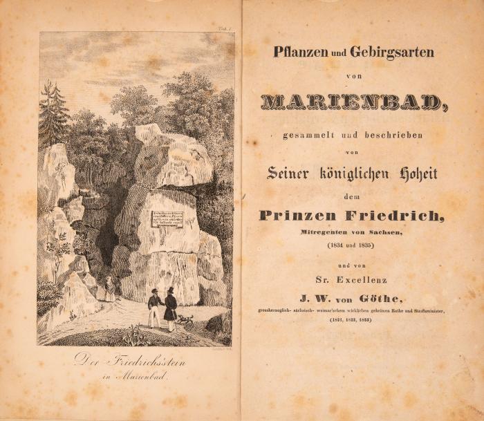 Goethe, Johann Wolfgang von u. Friedrich von Sachsen: Pflanzen und Gebirgsarten von Marienbad, gesammelt von dem Prinzen Friedrich (1834 u.1835) und von J. W. v. Göthe (1821-23) ... ergänzt, und mit einem Anhange über die anderen naturhistorischen Verhältnisse des Curortes hrsg. von C. J. Heidler.