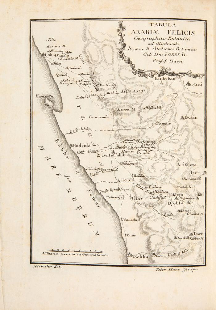Forsskål, Peter (Pehr): Flora aegyptiaco-arabica. Sive descriptiones plantarum, quas per Aegyptum Inferiorem et Arabiam Felicem detexit. Hrsg. v.  Carsten Niebuhr.