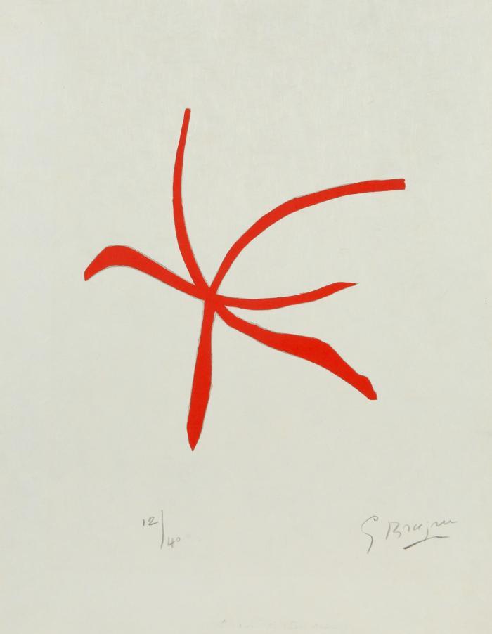 Oiseau de mer rouge (aus: Si je mourais là-bas)
