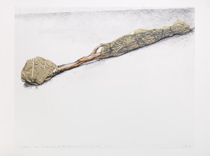 Wrapped Tree, Project (aus: Spiegel 70)