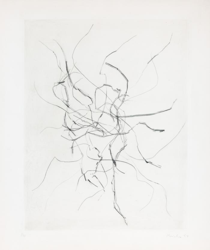 Ohne Titel (Raumlinien)