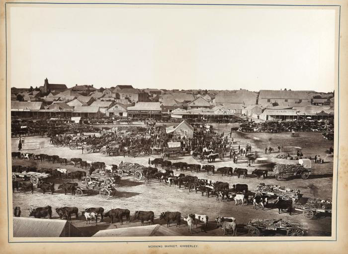 South Africa. Illustrated by a series of one hundred and four permanent photographs.