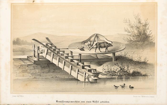 Heine, Wilhelm: Reise um die Erde nach Japan an Bord der Expeditions-Escadre unter Commodore M. C. Perry in den Jahren 1853, 1854 und 1855 unternommen im Auftrage der Regierung der Vereinigten Staaten. 2 Bde./ Die Expedition in die Seen von China, Japan und Ochotsk unter Commodore Collin Ringgold und ... John Rodgers... in den Jahren 1853-56. 3 Bde. - Zus. 5 Bde.