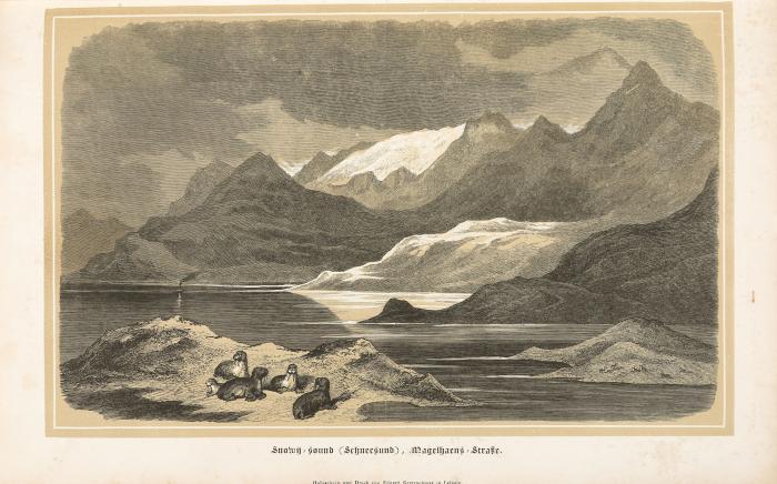 Heine, Wilhelm: Reise um die Erde nach Japan an Bord der Expeditions-Escadre unter Commodore M. C. Perry in den Jahren 1853, 1854 und 1855 unternommen im Auftrage der Regierung der Vereinigten Staaten. 2 Bde./ Die Expedition in die Seen von China, Japan und Ochotsk unter Commodore Collin Ringgold und ... John Rodgers... in den Jahren 1853-56. 3 Bde. - Zus. 5 Bde.