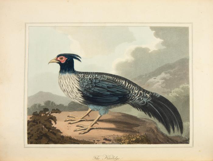 An account of the Kingdom of Nepaul being the substance of observations made during a mission to that country, in the year 1793.