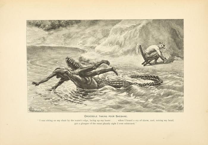 Elephant-Hunting in East Equatorial Africa being an account of three years' Ivory-hunting under Mount Kenia and among the Ndorobo Savages of the Lorogi Mountains, including a trip to the north end of Lake Rudolph.