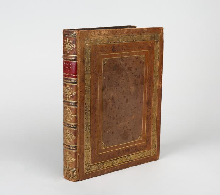 Journals of two expeditions into the interior of New South Wales, undertaken by order of the British government in the years 1817-18.