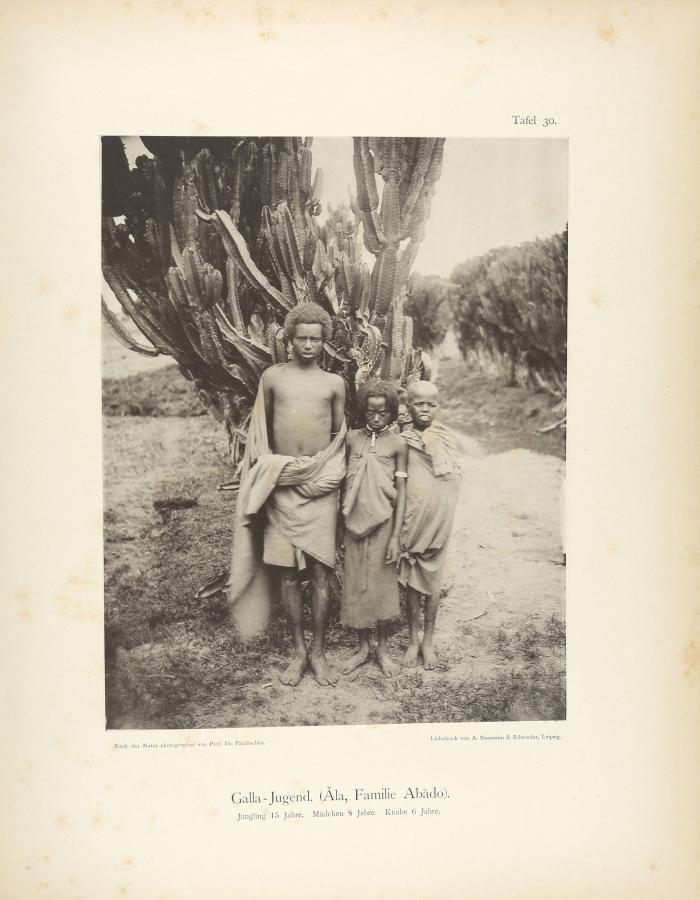 Beiträge zur Ethnographie und Anthropologie der Somâl, Galla und Hararî.