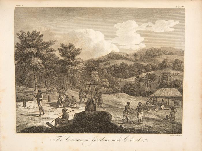 Percival, Robert: An Account of the Island of Ceylon, containing its History, Geography, Natural History, with the Manners and Customs of its various Inhabitants; to which is added, the journal of an embassy to the court of Candy.