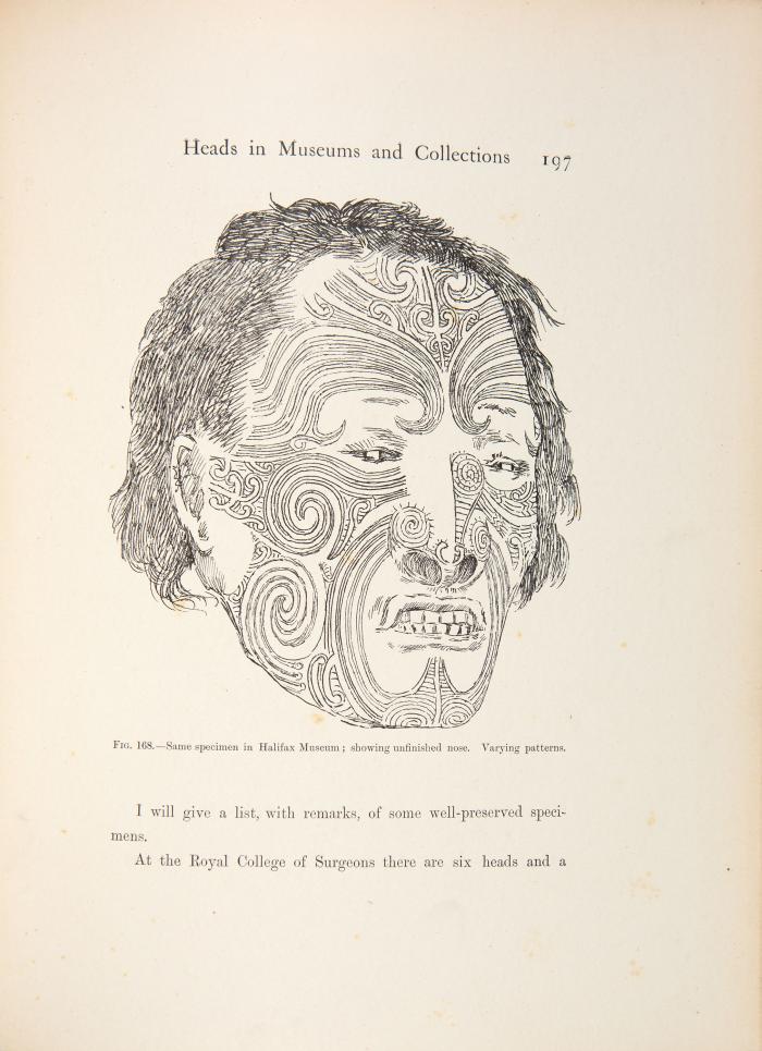 Moko; or Maori Tattooing.