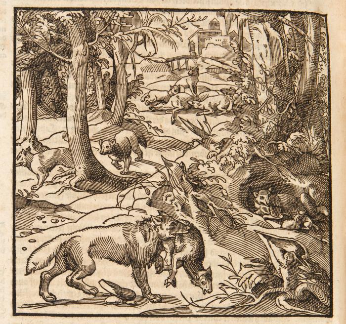 Estienne, Charles und Jean Liébault: Siben Bücher von dem Feldbau, und vollkom(m)ener bestellung eynes ordentlichen Meyerhofs oder Landguts. Deutsch von Melchior Sebizio.