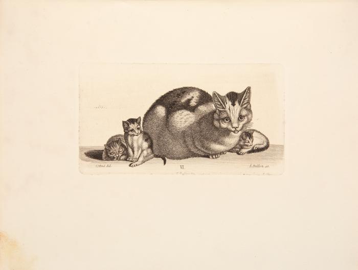 Der Katzen-Raphael. Mit einer kurzen Lebensskizze Mind's u. der Novelette 