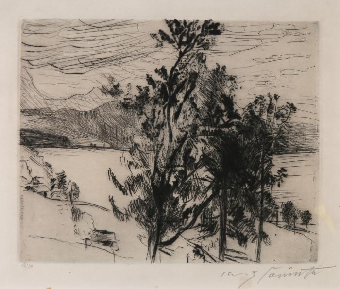 Blick auf den Walchensee (aus: Am Walchensee)