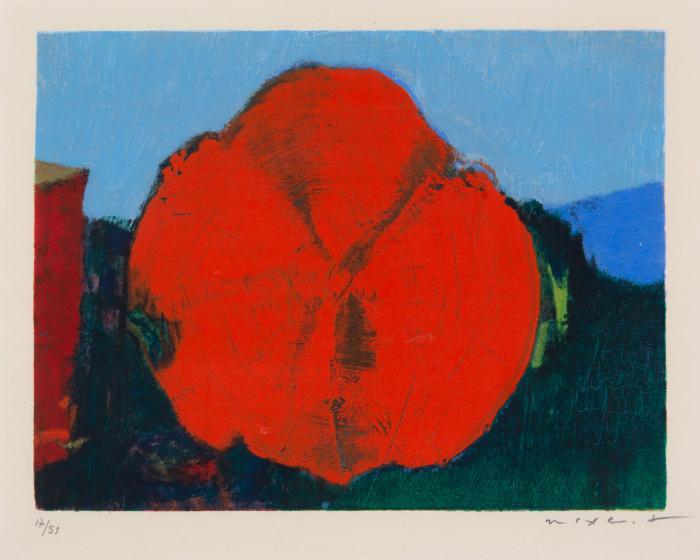 Rote Blume II