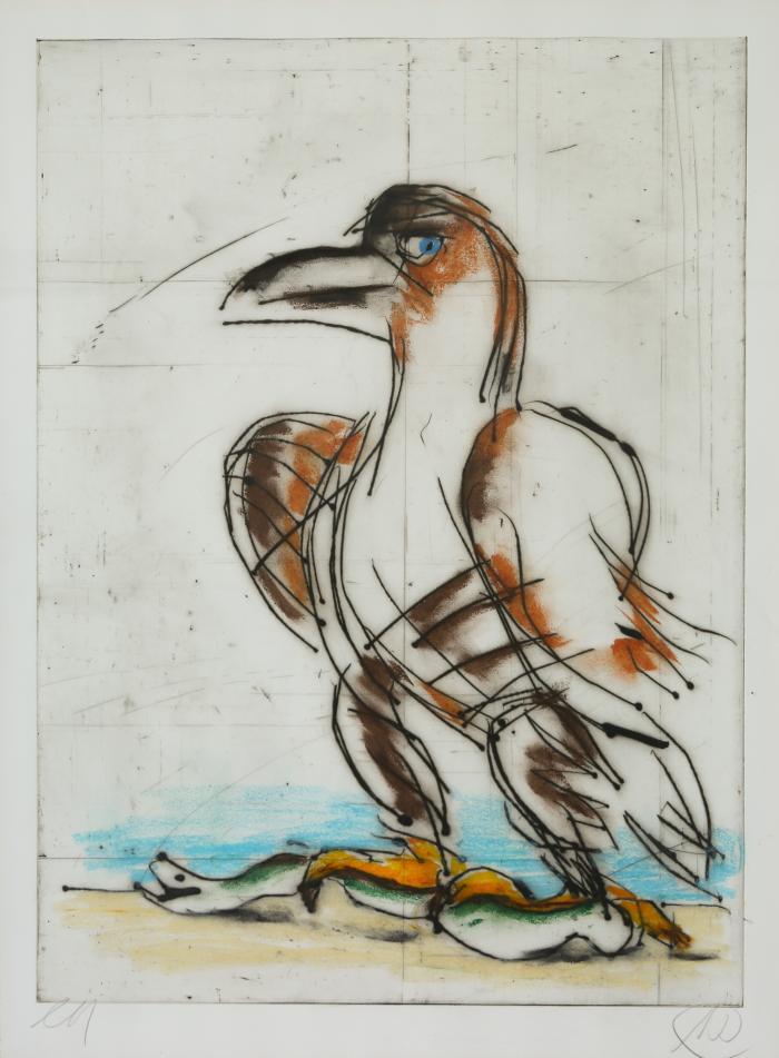 Adler