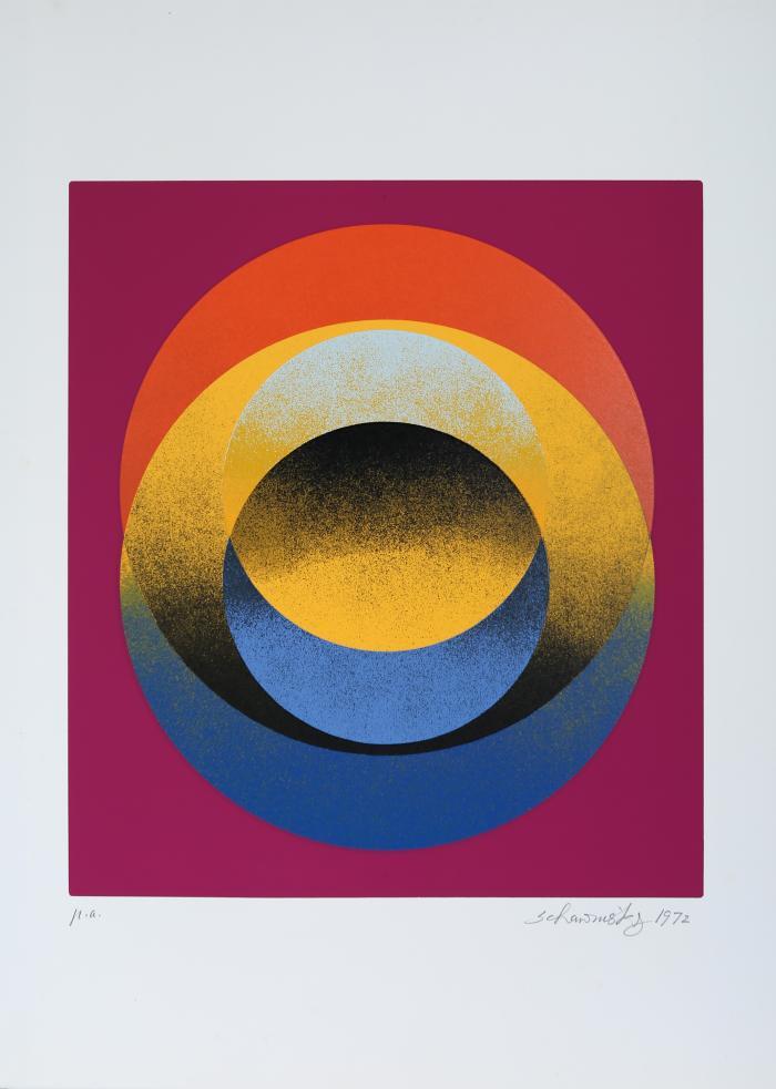 Schawinsky (un maestro del bauhaus - Franco Solmi)