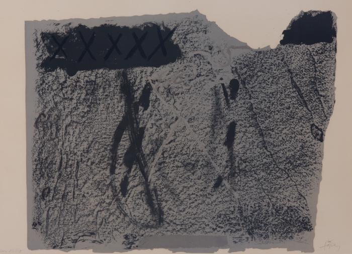 Ohne Titel (Noir et crai)